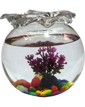 afast Glass Round Fish Pot-picture-19