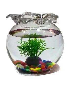 afast Glass Round Fish Pot-picture-26