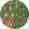 W KURTASW14154-127694, GREEN, 10