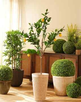 pure home and living  Faux Potted Plant -picture-45