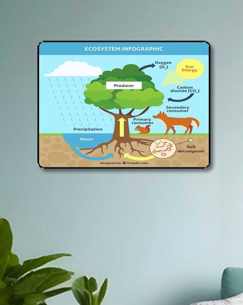 Livin Luxe Ecosystem Infographic Educational Wall Art