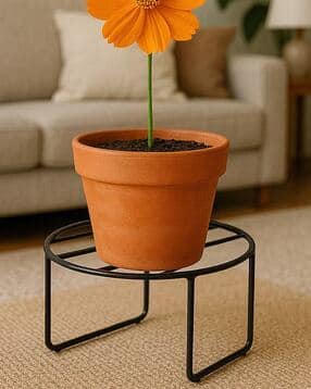 habere india Set Of 3 Round Shaped Planter Stand -picture-35