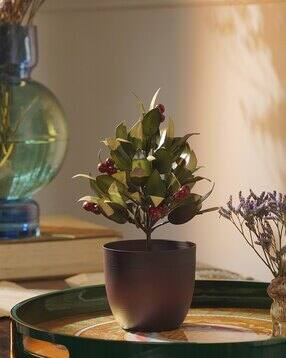 Olive Metal Plant-image-46