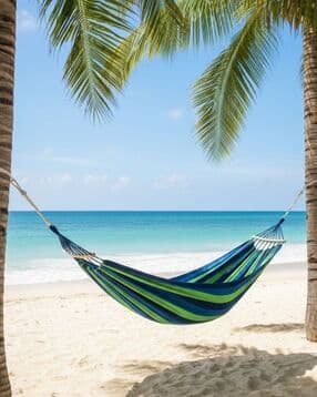 we3 Outdoor Camping Hanging Hammock-picture-32