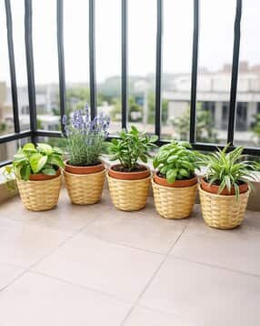 habere india Set of 5 Handwoven Bamboo Planter Baskets for Indoor Plants-picture-29