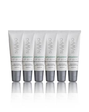 bravado Women Pack Of 6 Lip Balm - Spearmint -picture-13