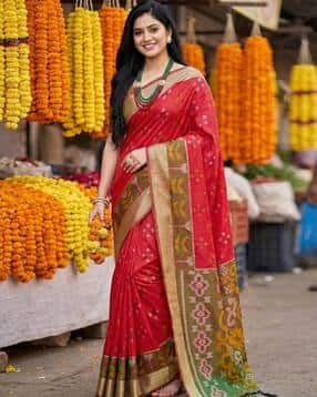 svaraa Women Pochampalli Silk Saree With Zari Border-picture-20