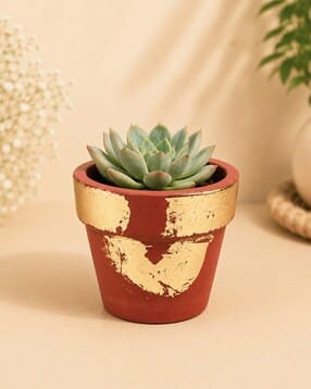 habere india Hand Painted Terracotta Plant Pot -picture-46