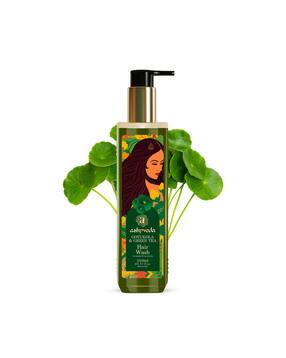 ashpveda Gotukola & Green Tea Ayurvedic Shampoo  -picture-19