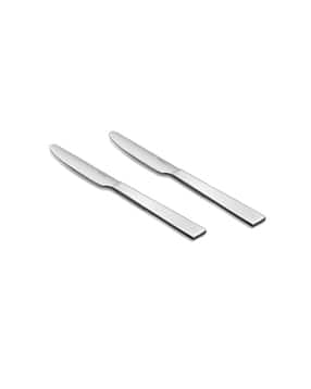 fns Set of 2 Stainless Steel Butter Knifes-picture-25